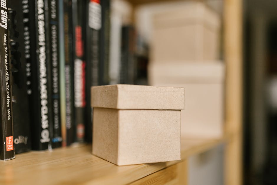 Focus blind box review — RDNE Stock project